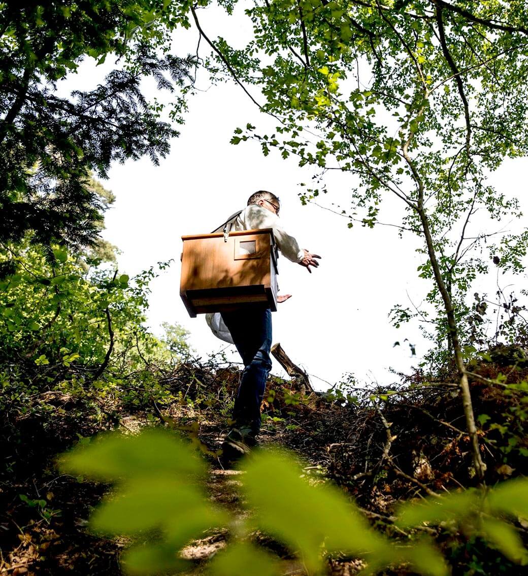 À propos - Apiculture